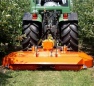 Series T
