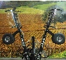 Provide Agro Packhouse Equipment